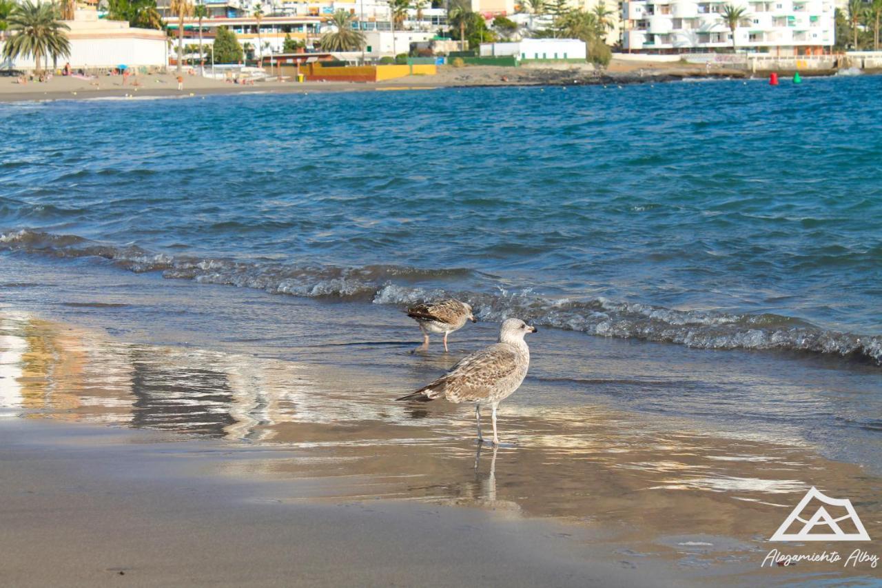 Alojamiento Alby: Oceano Los Cristianos  Exterior photo